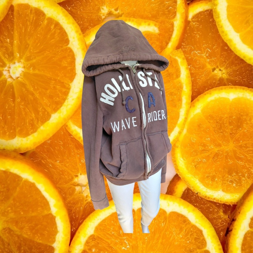 Hollister Mens Brown Wave Riders CA Full Zip Hoodie Sweatshirt Large Vtg Style